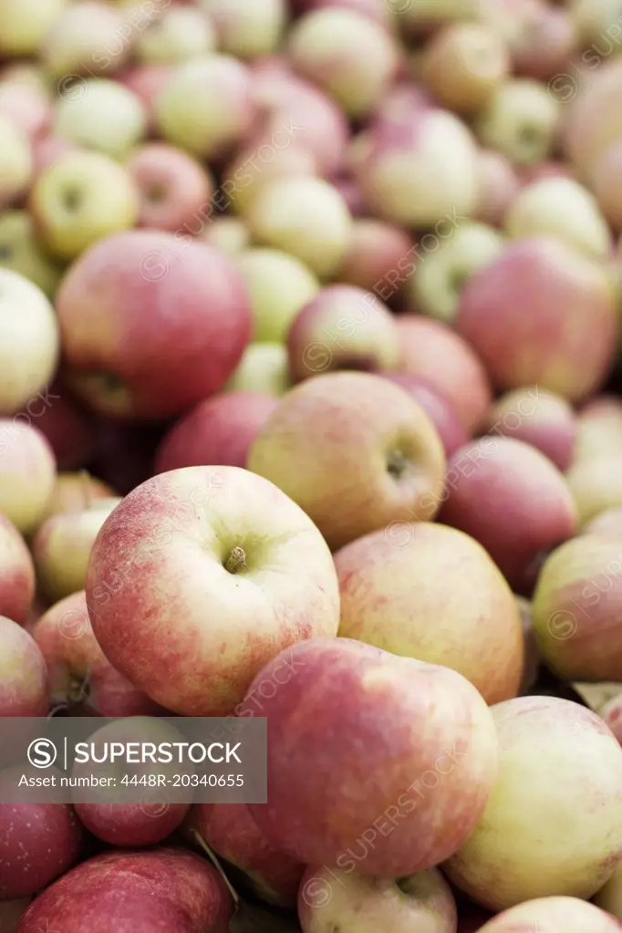 Pile of fresh apples