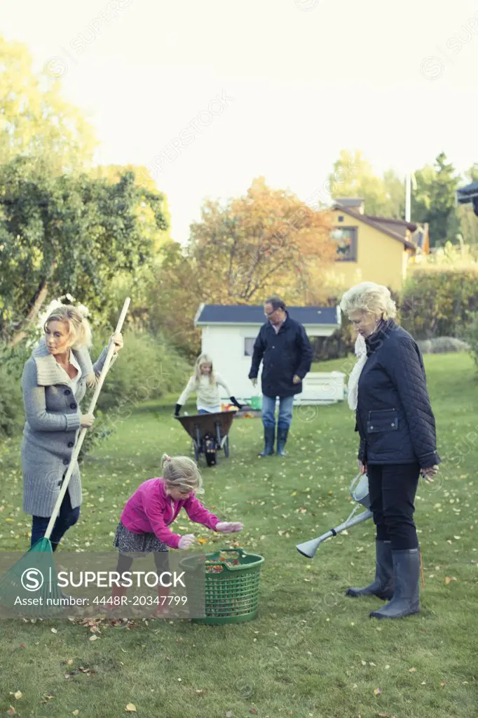 Family raking autumn leaves at yard