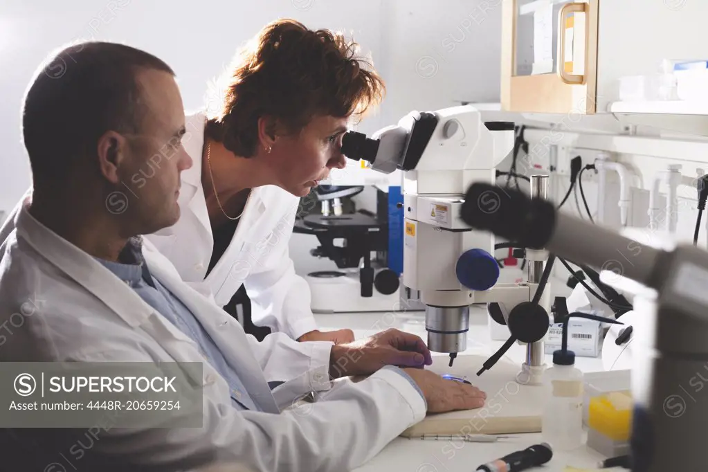 Male and female scientists using microscope in laboratory