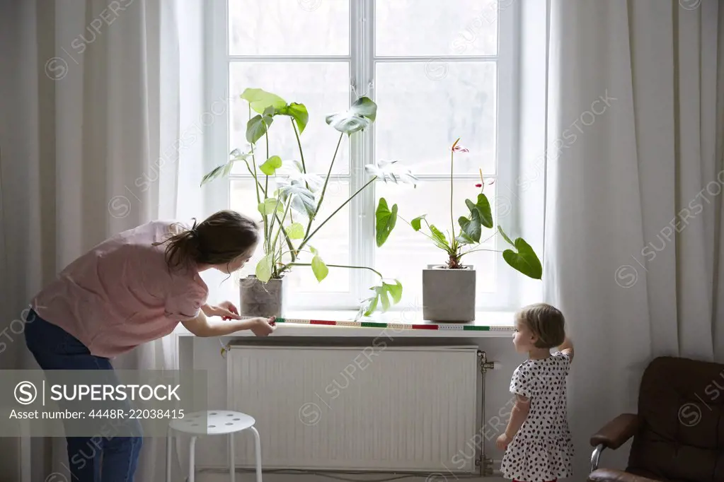 Daughter assisting fashion designer in measuring window with tape measure at home