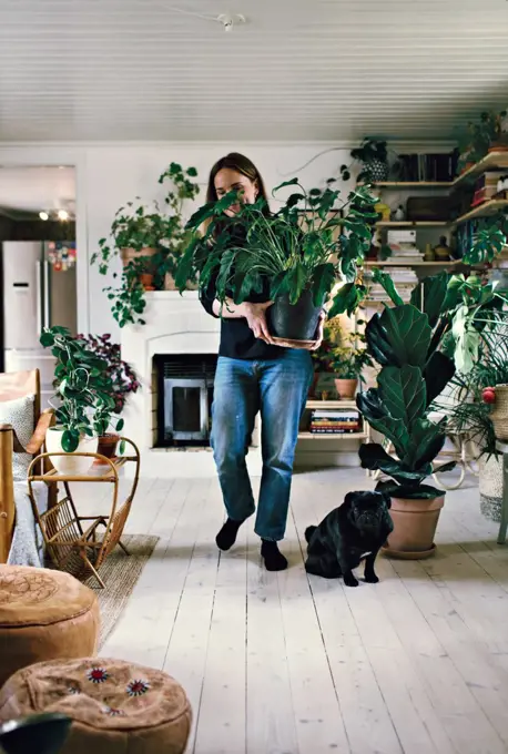 Full length of woman carrying potted plant by dog in room at home