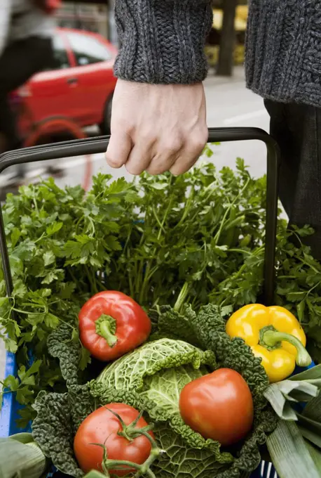 Basket with ecological vegetables