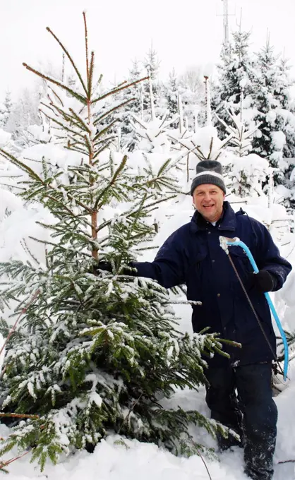 Man and tree