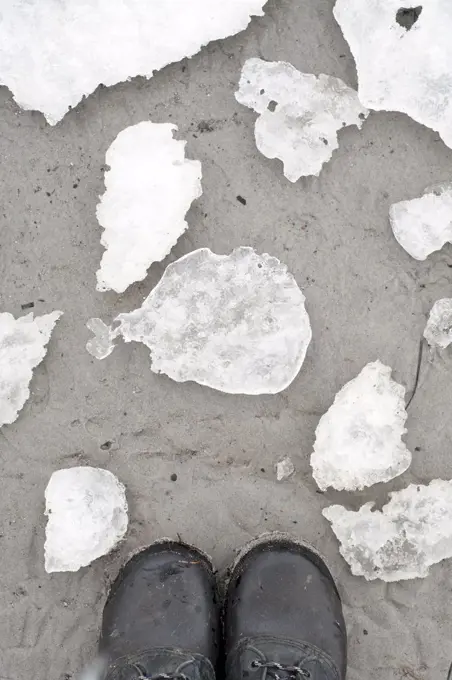 Pieces of ice on sand