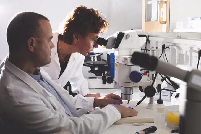 Male and female scientists using microscope in laboratory