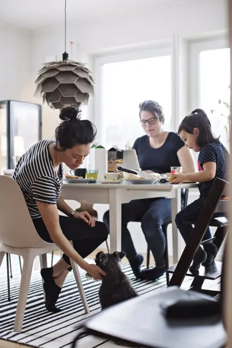 Woman stroking dog while family having food at dining table