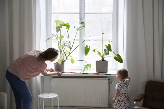 Daughter assisting fashion designer in measuring window with tape measure at home