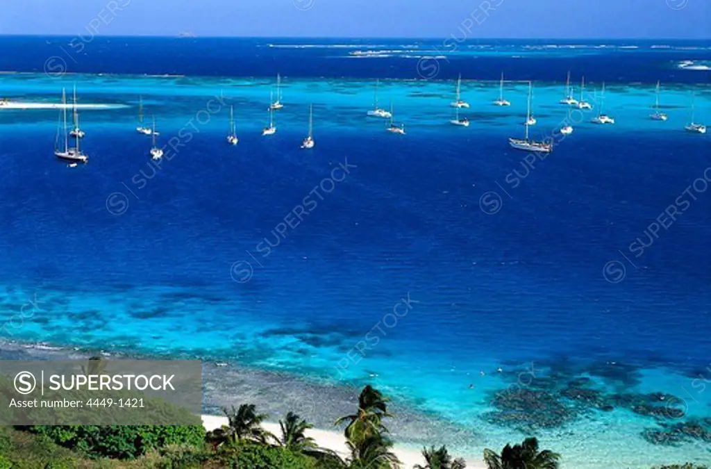 View at boats in a bay in the sunlight, Horseshoe Reef, Tobago Cays, St. Vincent, Grenadines, Carribean, America