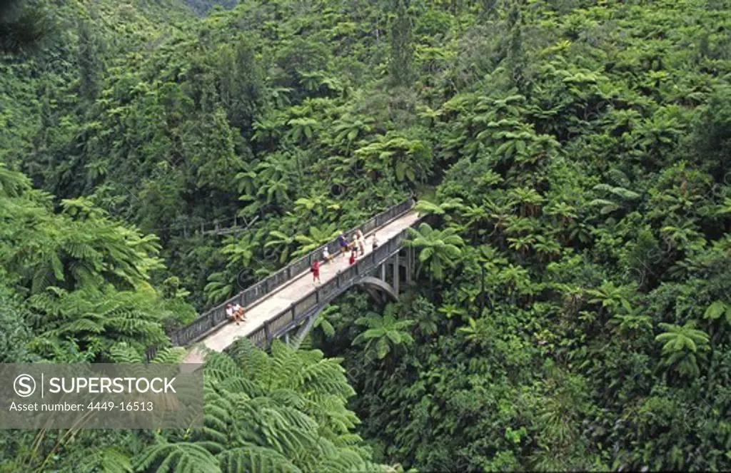 new zealand bridge to nowhere