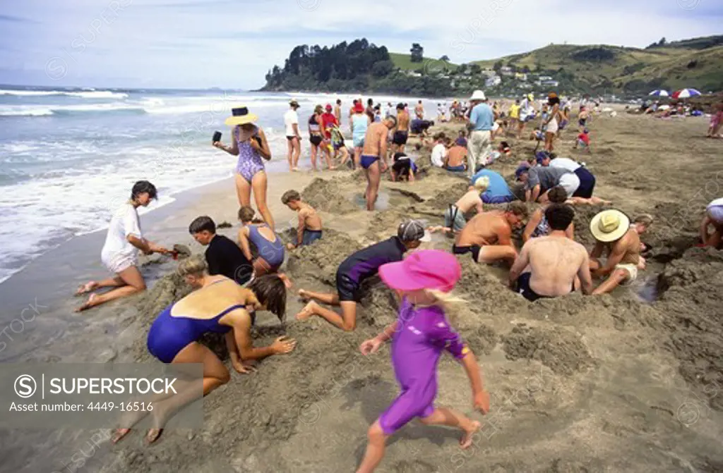 New Zealand, Coromandel, Hot water, beach, kids