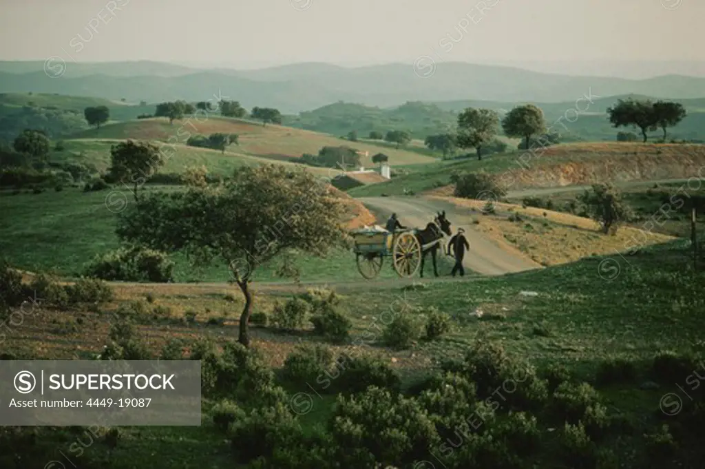 Horse carriage, Alentejo, Portugal