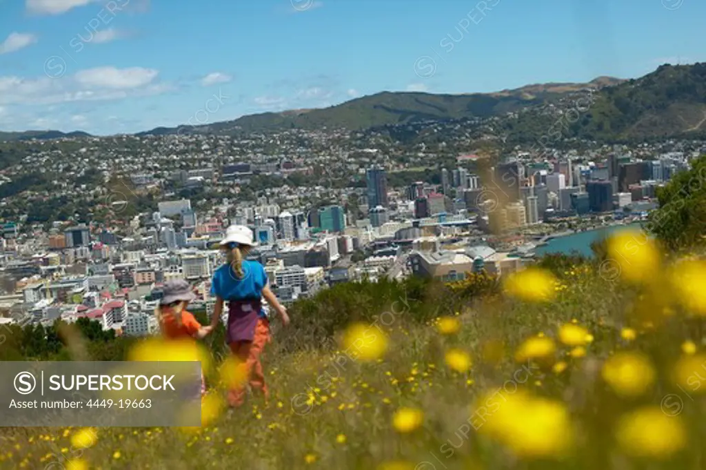 Girls playing on Mt. Victoria, flowers, meadow. Overlooking citycentre of Wellington, North Island, New Zealand