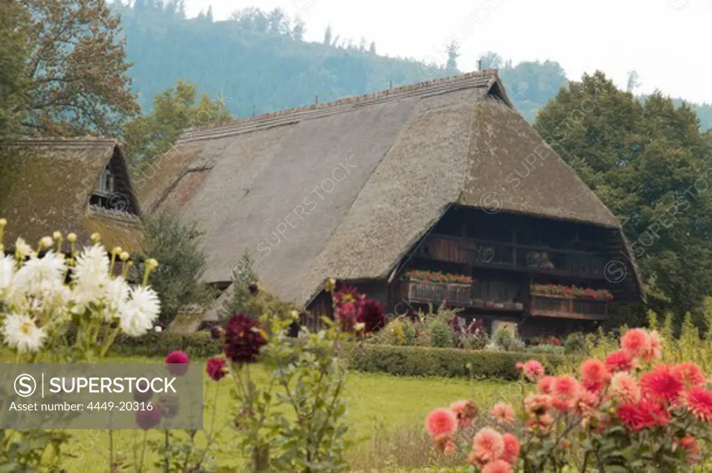 Historical Black Forest Farmhouse with Flower Garden, Gutach, Black Forest, Germany