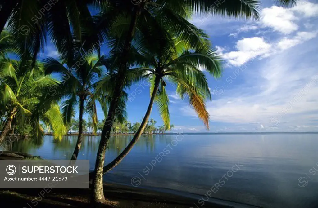 Lagoon near the Batanical Gardens, Tahiti, French Polynesia, south sea