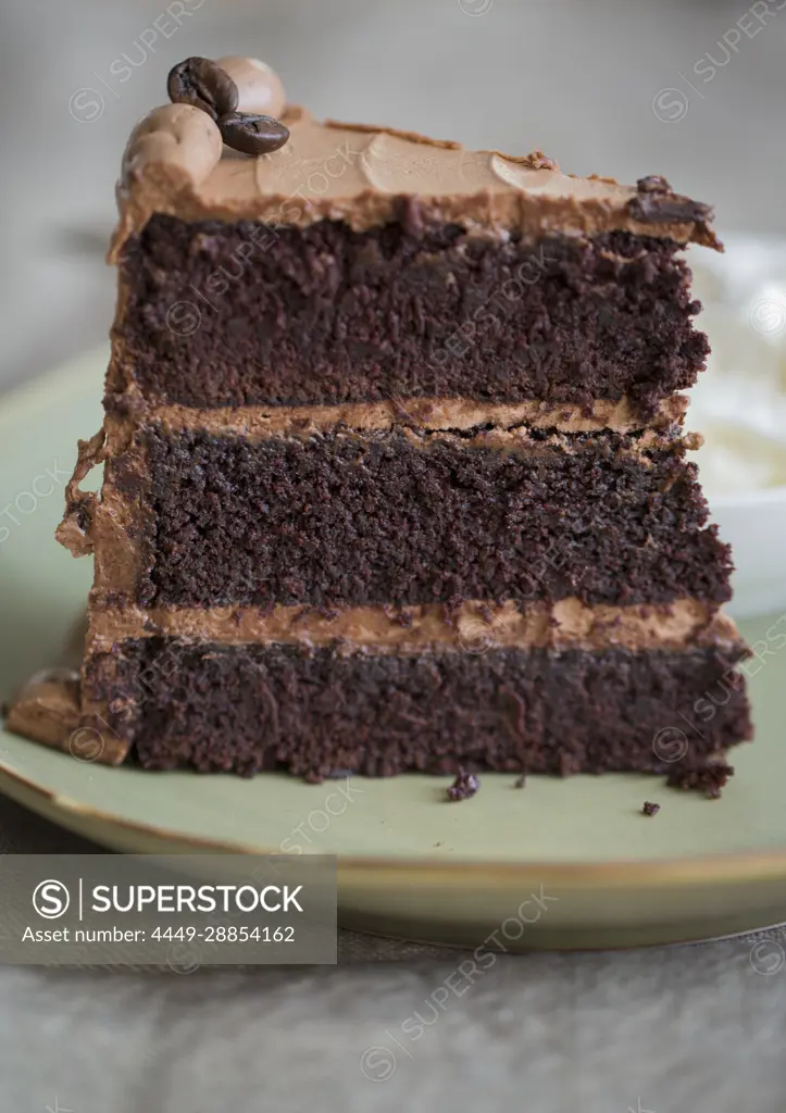 A slice of mocha cream cake