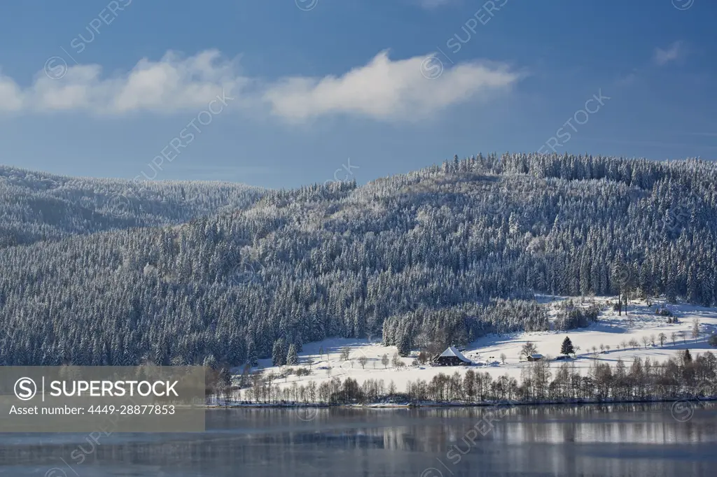 Winter day at Schluchsee, Southern Black Forest, Black Forest, Baden-Wuerttemberg, Germany, Europe