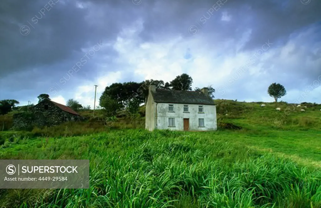 Old cottage on a green meadow, County Mayo, Ireland, Europe