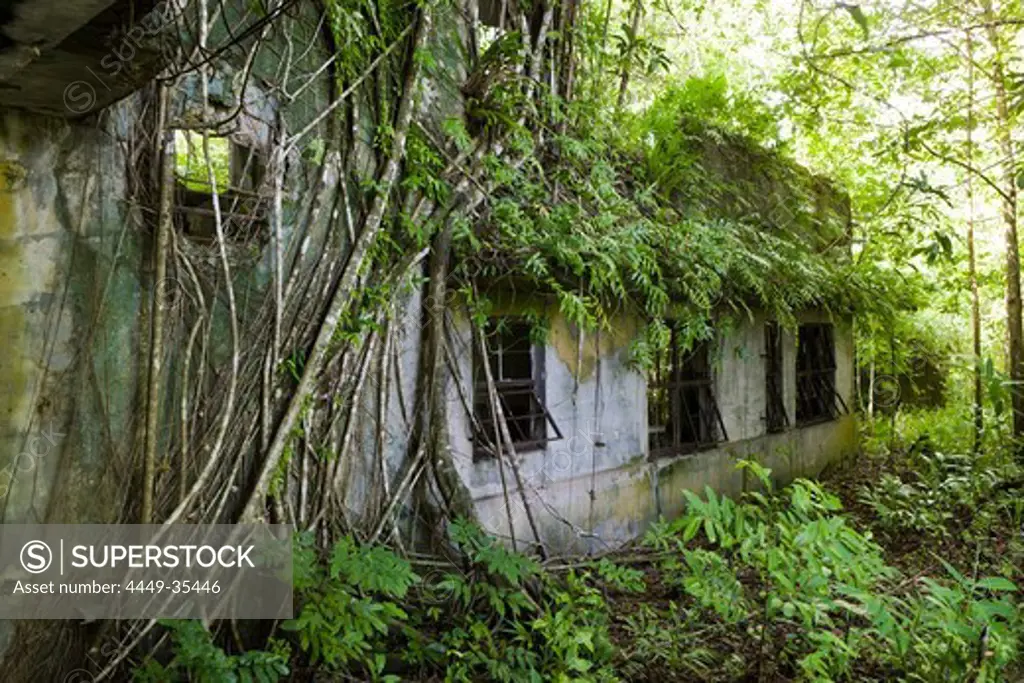 Japanese Headquarter at II World War, Peleliu Island, Micronesia, Palau