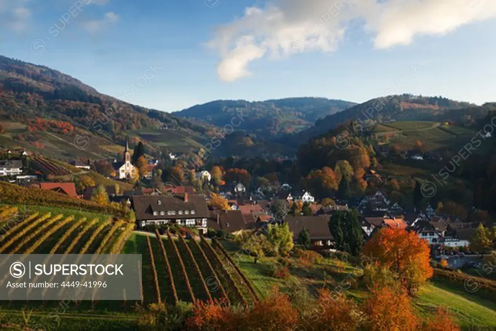 View over Sasbachwalden in autumn, Sasbachwalden, Baden-Wurttemberg, Germany