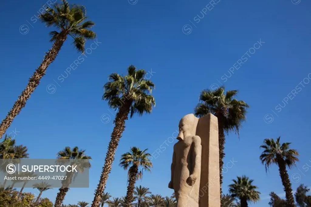 Statue of Ramesses II, Memphis, Egypt, Africa