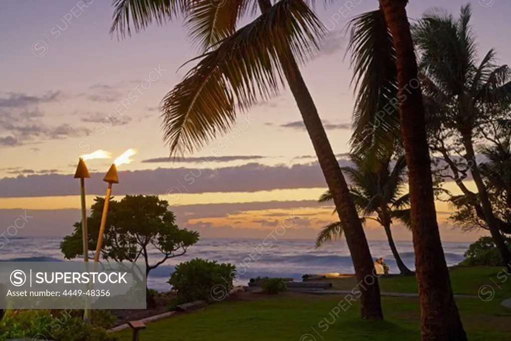 Palm trees at the North Shore in the evening, Turtle Bay, Oahu, Hawaii, USA, America