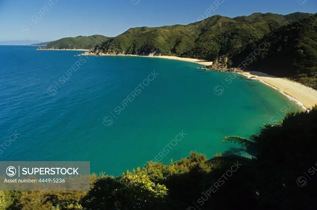 Mutton Cove, beach in a bay in the sunlight, Abel Tasman Coast Track, Abel Tasman National Park, New Zealand, Oceania