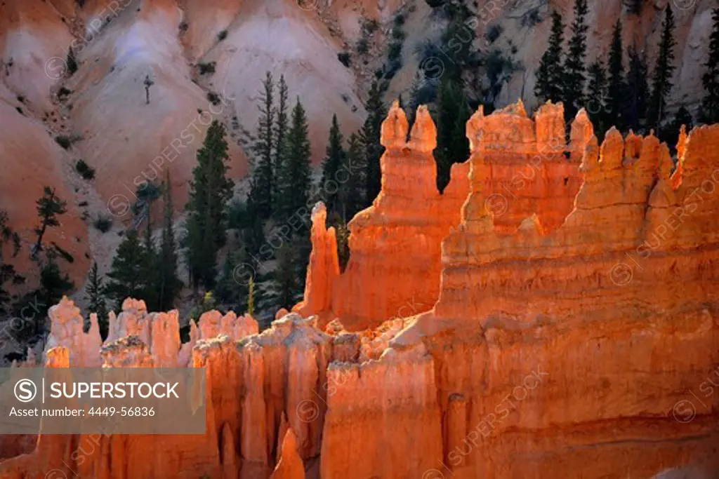 Bryce Canyon, Bryce Canyon National Park, Utah, USA