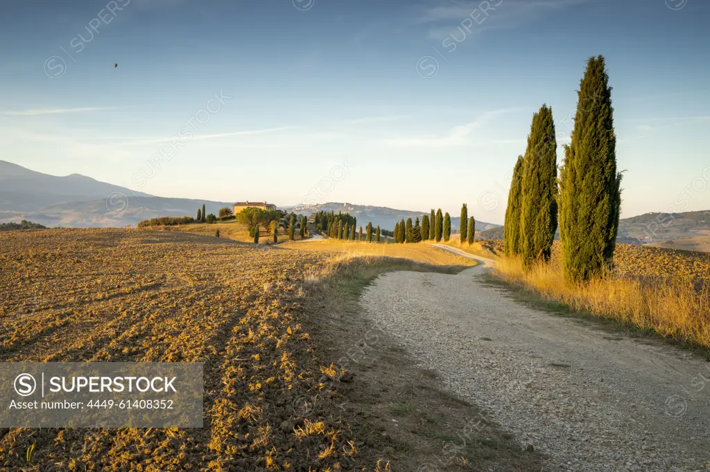 Autumn morning near Pienza, Gladiator Photo Spot, Tuscany, Italy, Europe