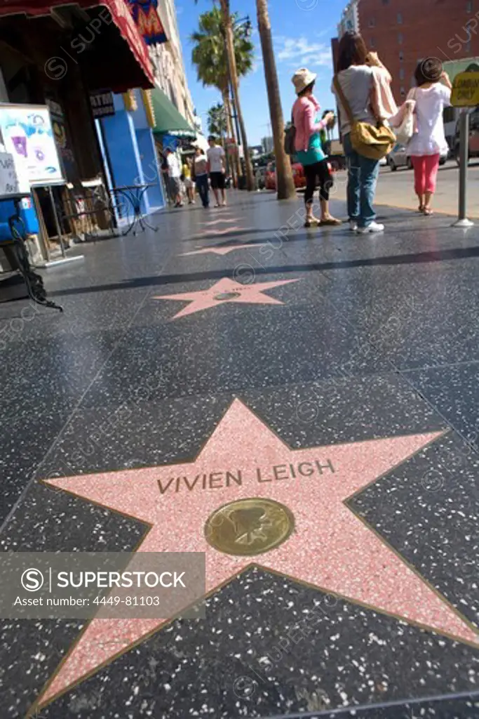 Vivien Leigh star, Walk of Fame, Hollywood Boulevard, Los Angeles, California, USA (America)