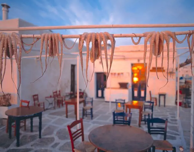 Greece, Paros, Octopus