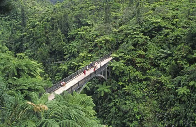 new zealand bridge to nowhere