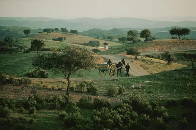 Horse carriage, Alentejo, Portugal