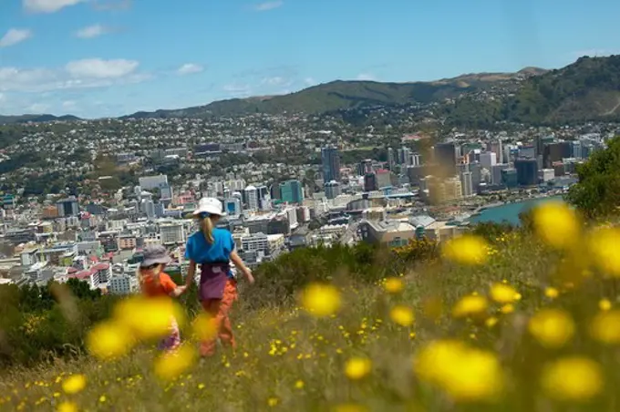 Girls playing on Mt. Victoria, flowers, meadow. Overlooking citycentre of Wellington, North Island, New Zealand