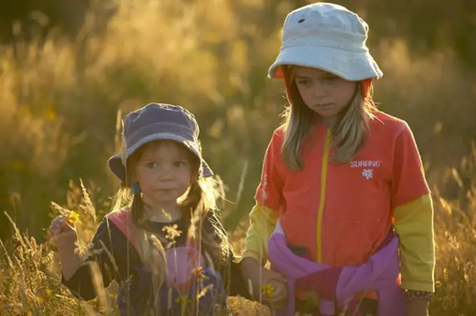 Children walking through high gras, sunset at the Westcoast, near Haast, South Island, New Zealand