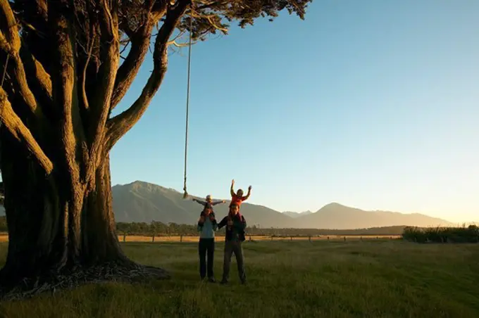 Family, children playing on hanging rope, giant tree at the beach near Haast, Westcoast, South Island, New Zealand