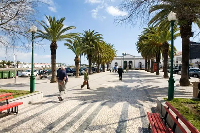 Promenade lined with palm trees and old market hall, Mercado de Ribeira, in Tavira, Algarve, South Portugal, Portugal