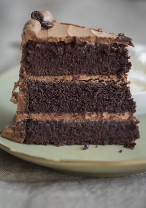 A slice of mocha cream cake