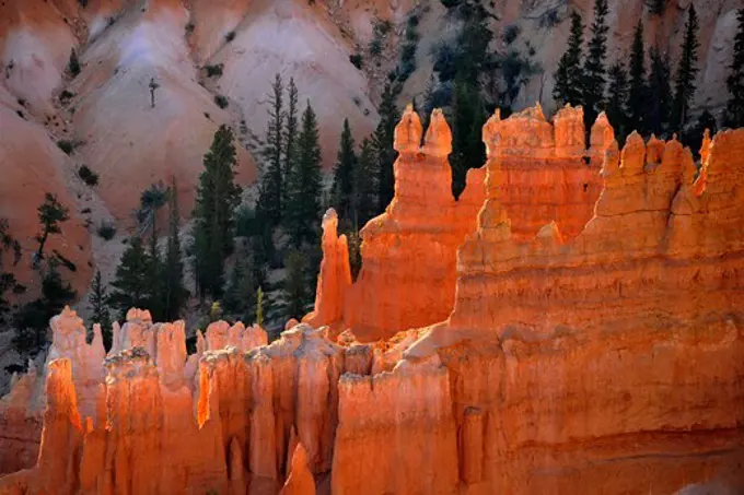 Bryce Canyon, Bryce Canyon National Park, Utah, USA