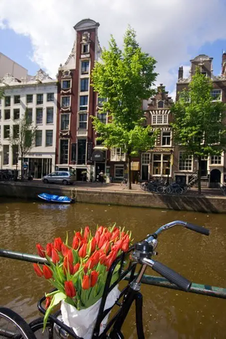 Amsterdam Single Gracht bicycle with tulips