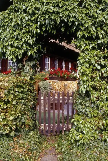 Typical house in the Black Forest, Todtnau, Black Forest, Baden Wuerttemberg, Germany