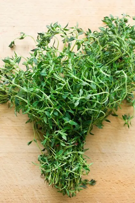 A bunch of fresh herbs, marjoram, Healthy Food