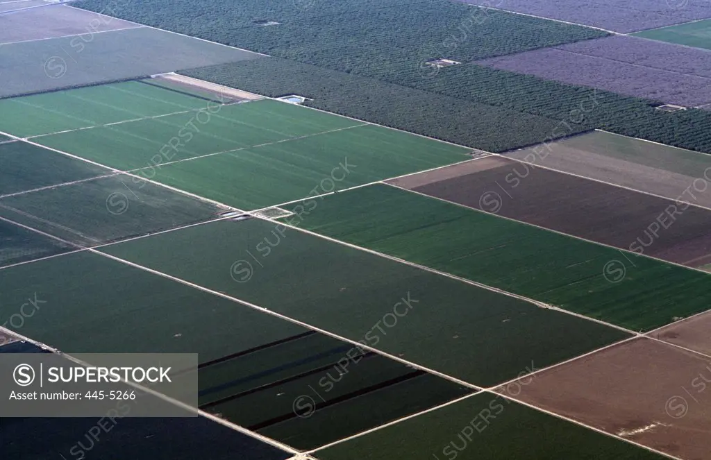 USA, California, Central Valley, Aerial view of rectangle fields