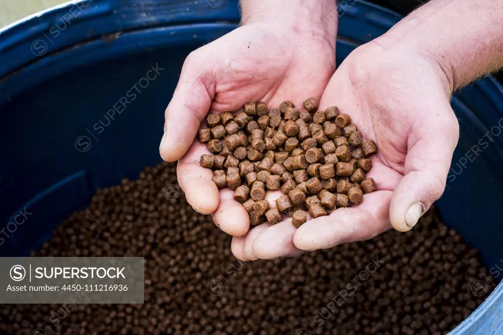 High angle close up of person holding heap of brown pellets, fish