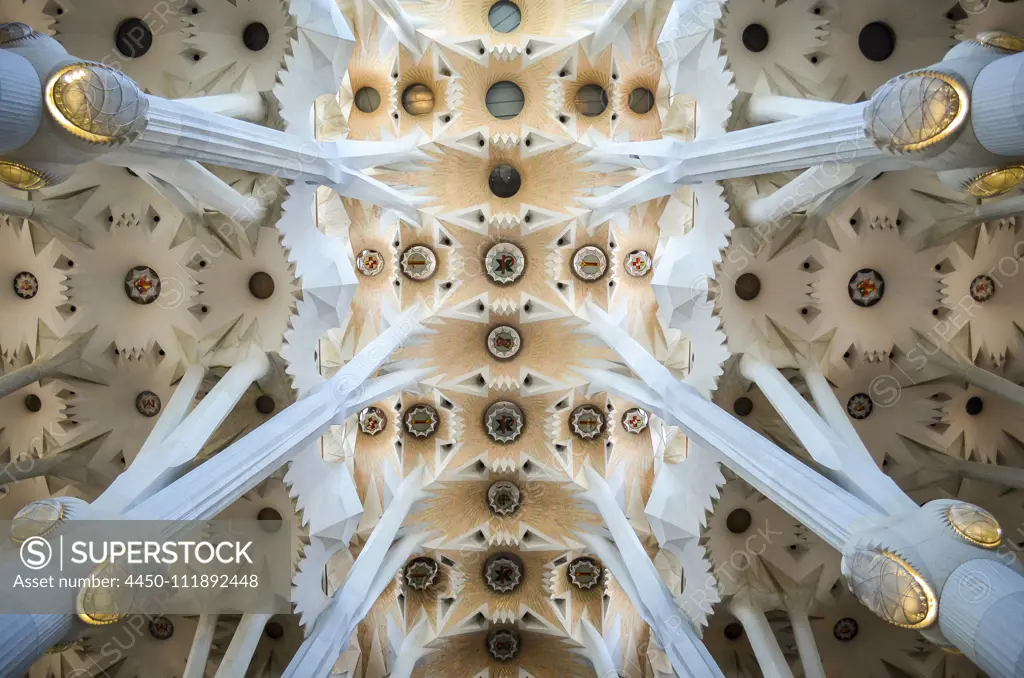 Low angle interior view of vaulting, Sagrada Familia, Barcelona, Catalonia, Spain.