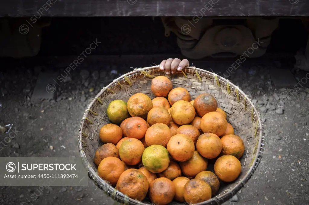 High angle close up of basket of orange citrus fruits in Myanmar.