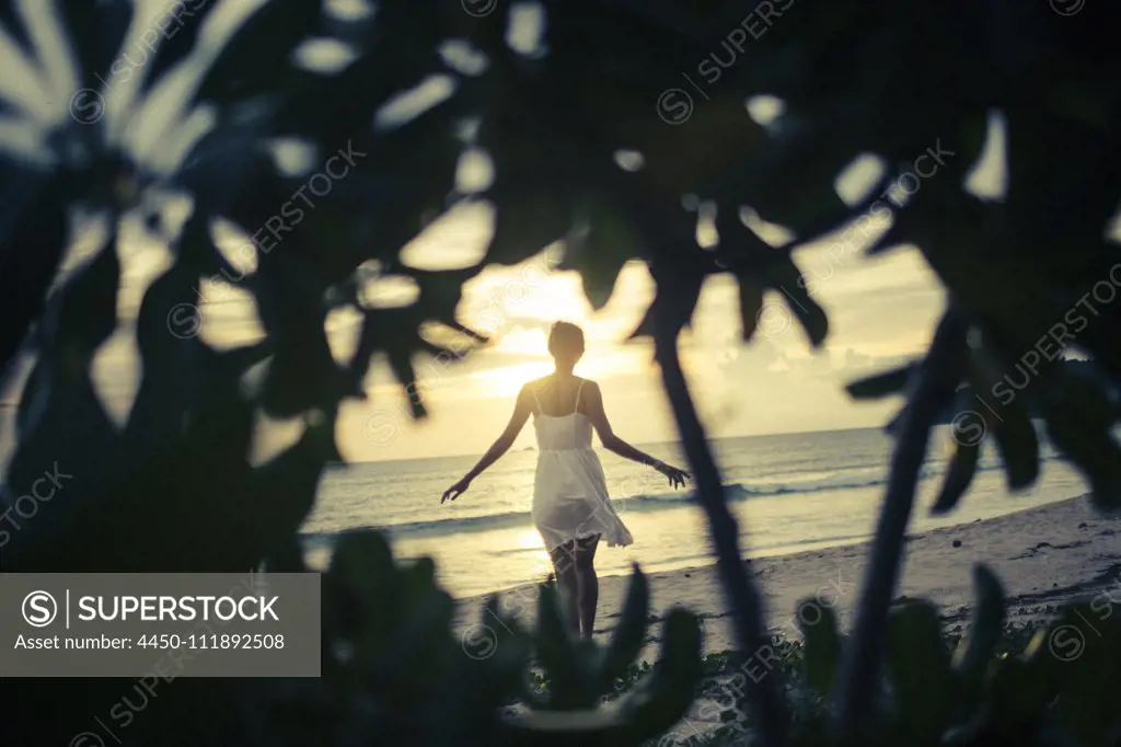 Rear view of young woman walking along beach at sunset, palm trees in foreground.