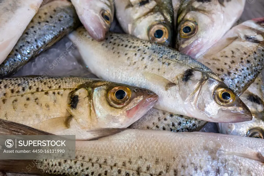 Fresh fish in market in The Algarve, Portugal