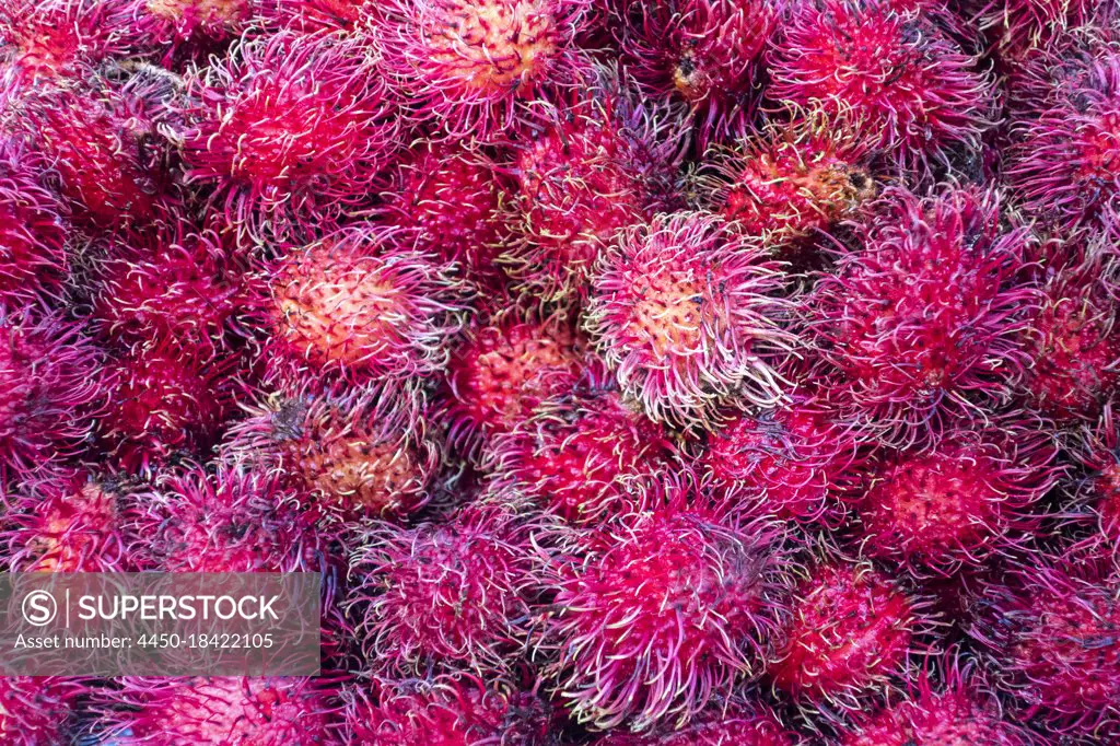 Rambutan fruit in food market, Yangon, Myanmar