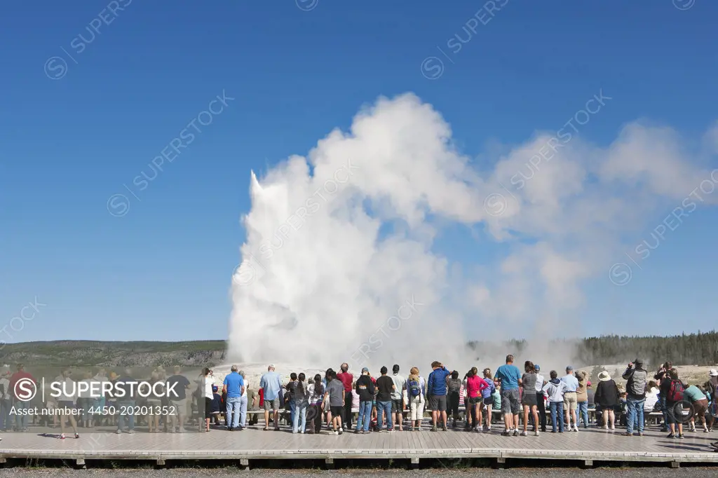 Rear view of tourists looking at geyser in Yellowstone Park.