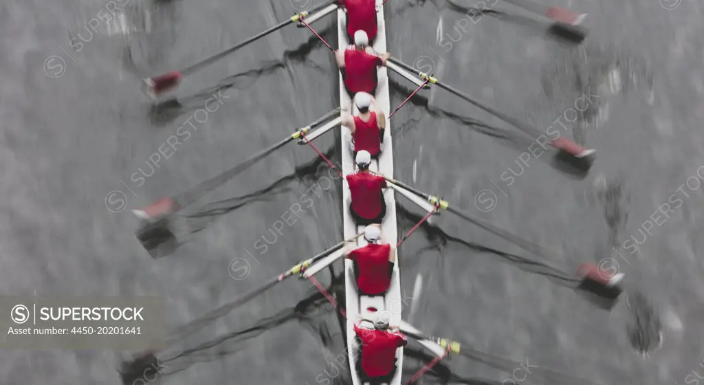 Overhead view of a crew rowing in an octuple racing shell boat, rowers, motion blur.  